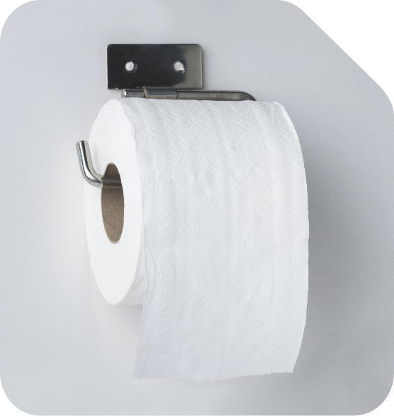 toilet-tissue-roll-on-a-holder-2025-02-09-23-30-37-utc
